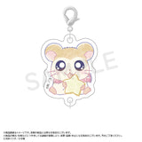 Hamtaro ~Twinkle Dreams~ Connecting Acrylic Charm Blind Bag