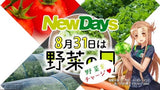 Sword Art Online Vegetable Day Campaign T-shirt L size NewDays x Dengeki Bunko 25th Anniversary